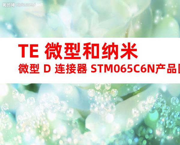 TE 微型和纳米微型 D 连接器 STM065C6N产品图纸